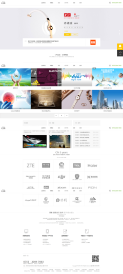 深圳企業(yè)網(wǎng)站的數(shù)字化翅膀 南隼互動(dòng)打造品牌競爭力